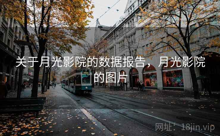 关于月光影院的数据报告,月光影院的图片 关于月光影院的数据报告,月光影院的图片
